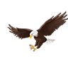 Langley-Park-McCormick-Elementary-logo