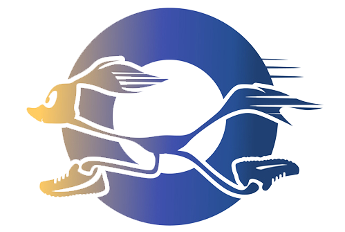 M-roadrunner-colorful-transparent-background.png