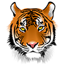 Robert-Frost-Elementary-logo