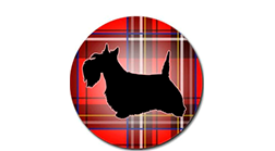 Scotchtown-Hills-Elementary-logo