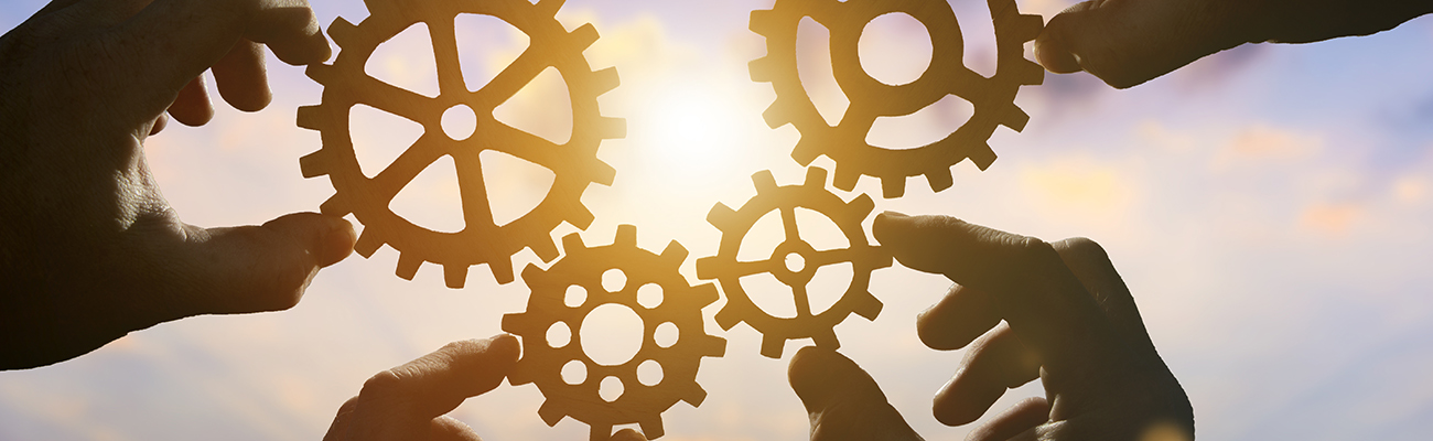 Hands holding gears